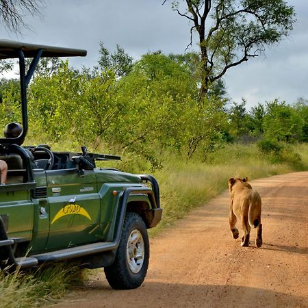 Kruger Safari Lodge Wildreservat Manyeleti Exterior foto
