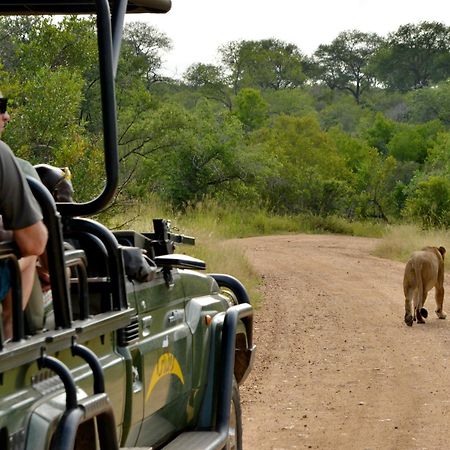 Kruger Safari Lodge Wildreservat Manyeleti Exterior foto