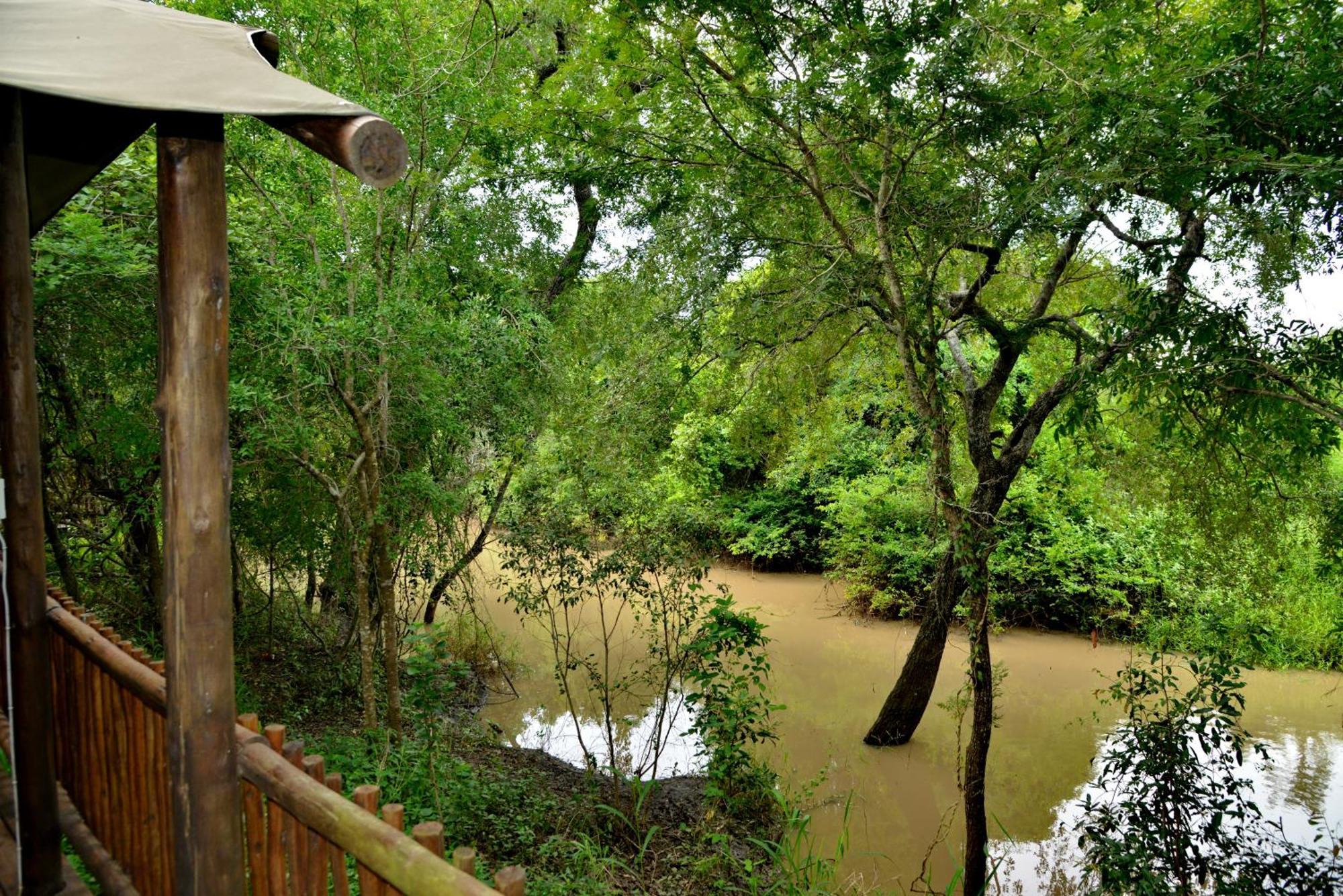 Kruger Safari Lodge Wildreservat Manyeleti Exterior foto